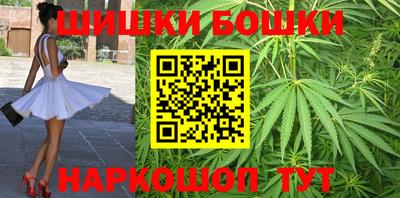 spice Кингисепп