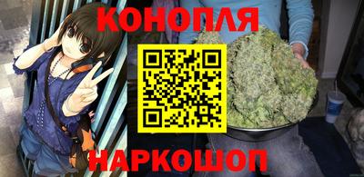 spice Кингисепп