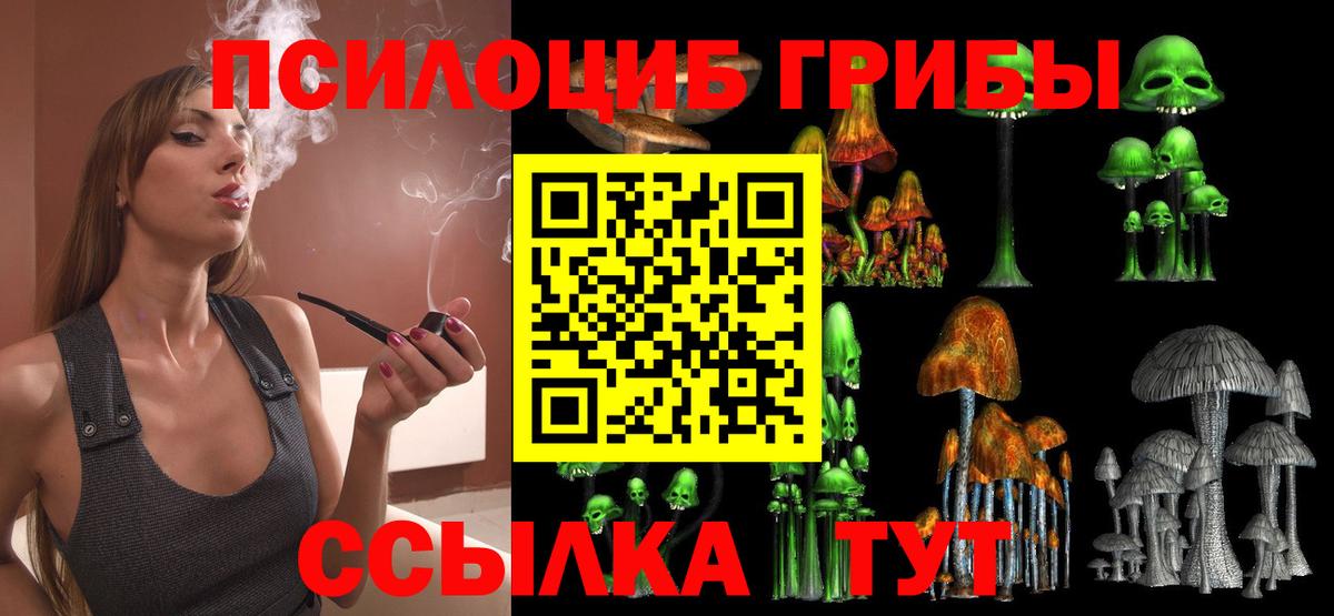Дубна  Псилоцибиновые грибы GOLDEN TEACHER  Псилоцибиновые грибы ЛСД  Вход с VPN 