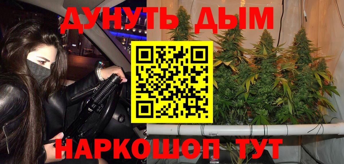 МАРИХУАНА сатива Дубна